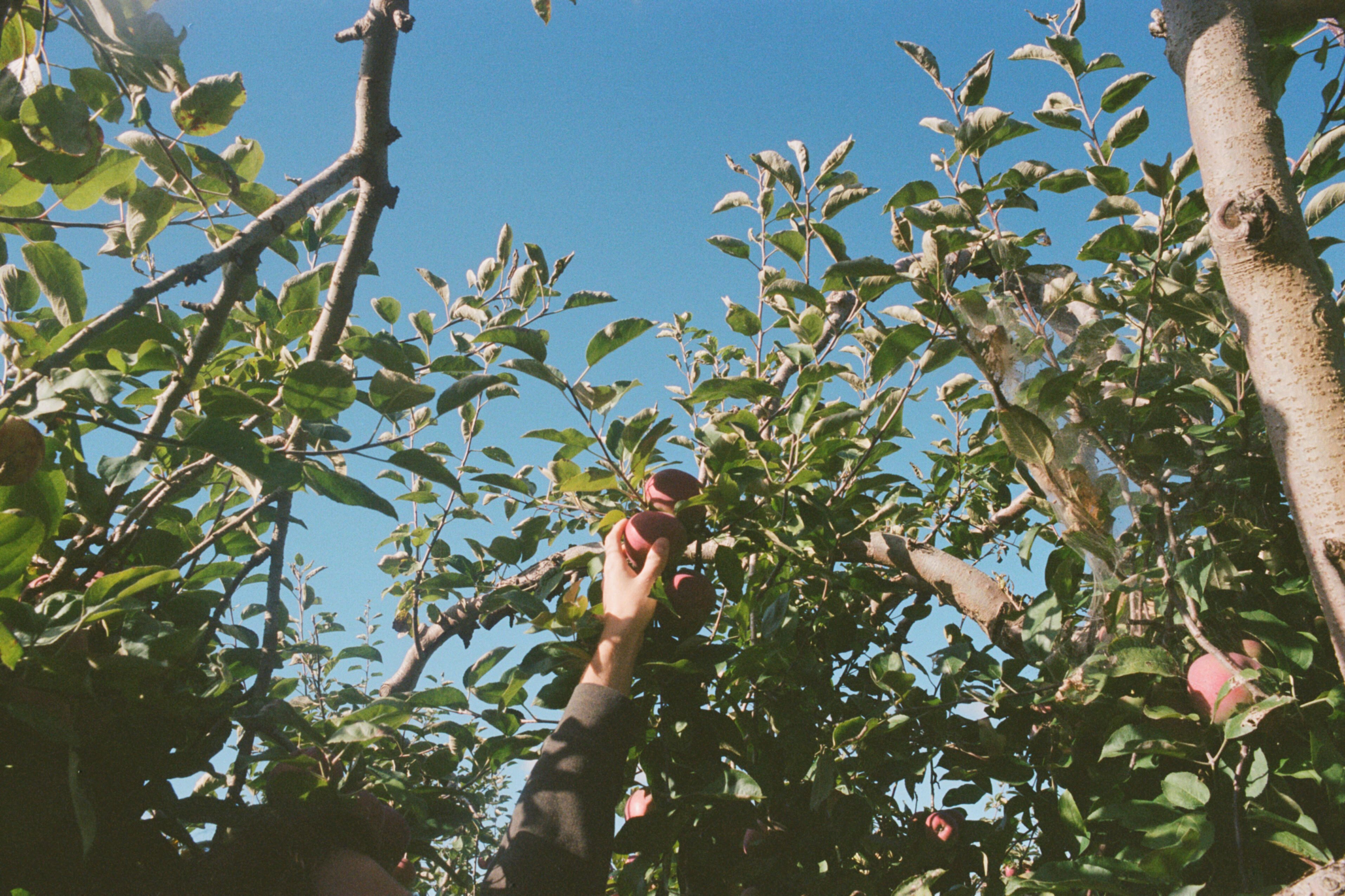 this is a photo. this is where i took it, this is a story